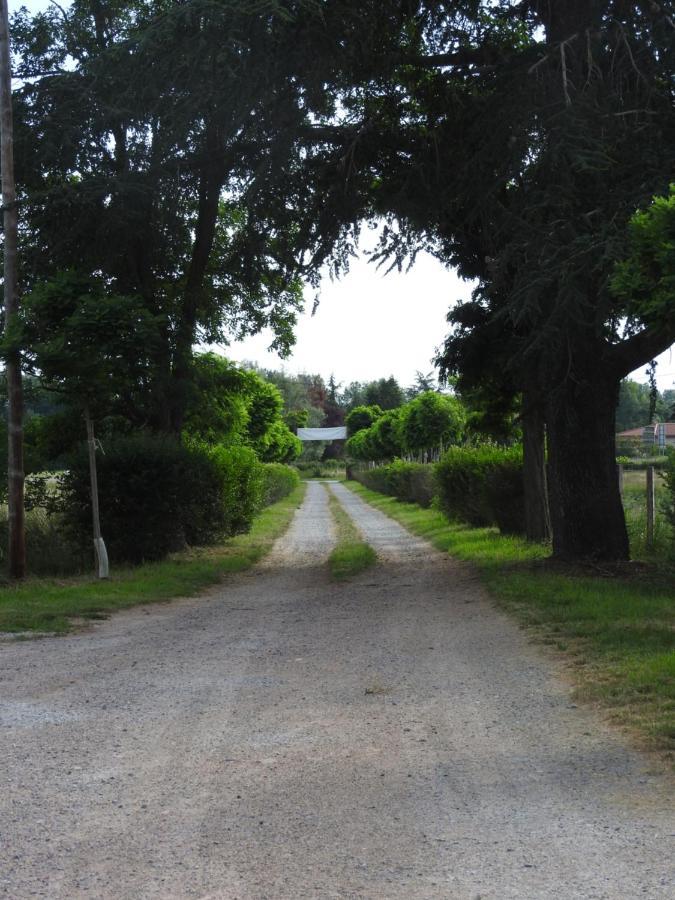 Domaine De Laverchere Pommiers-en-Forez Exterior foto